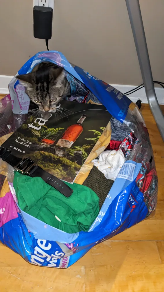 Every item you can think of FREE ( except cat lol)🥕 thumbnail