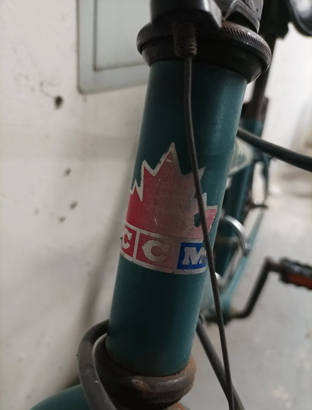 CCM Mountain Bike - Teal image indicator(4)
