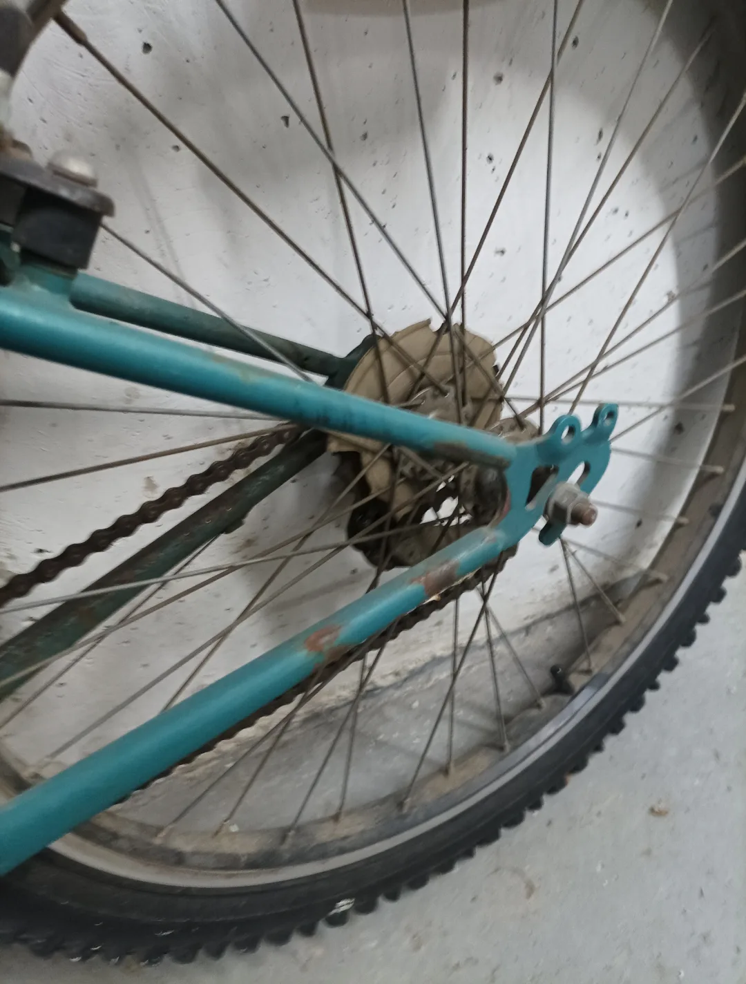 CCM Mountain Bike - Teal image indicator(6)