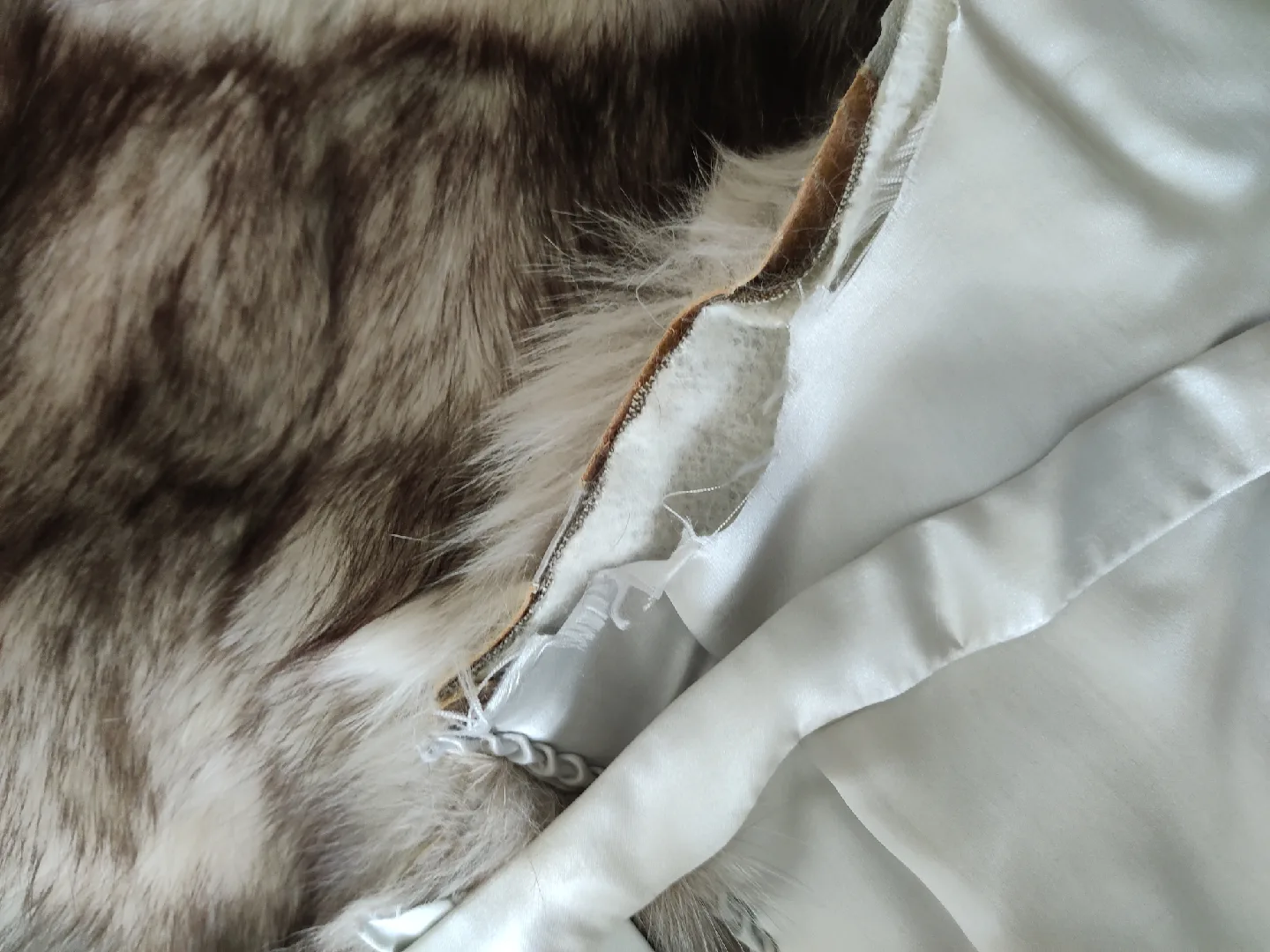 Silver Fox fur image indicator(3)