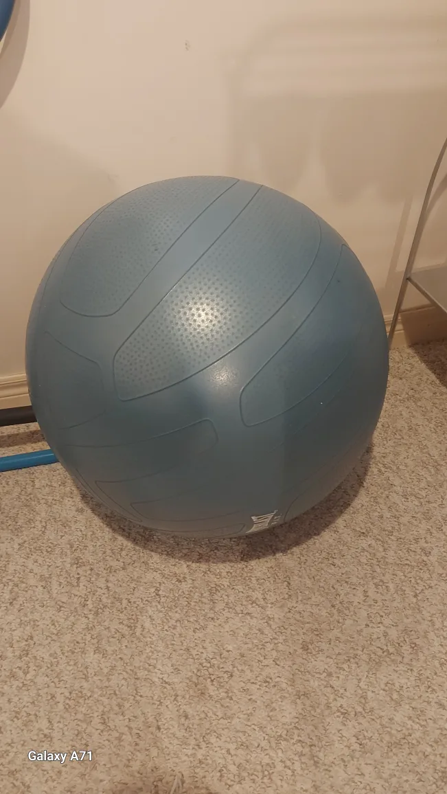 Everlast F.I.T. Exercise Ball image indicator(2)