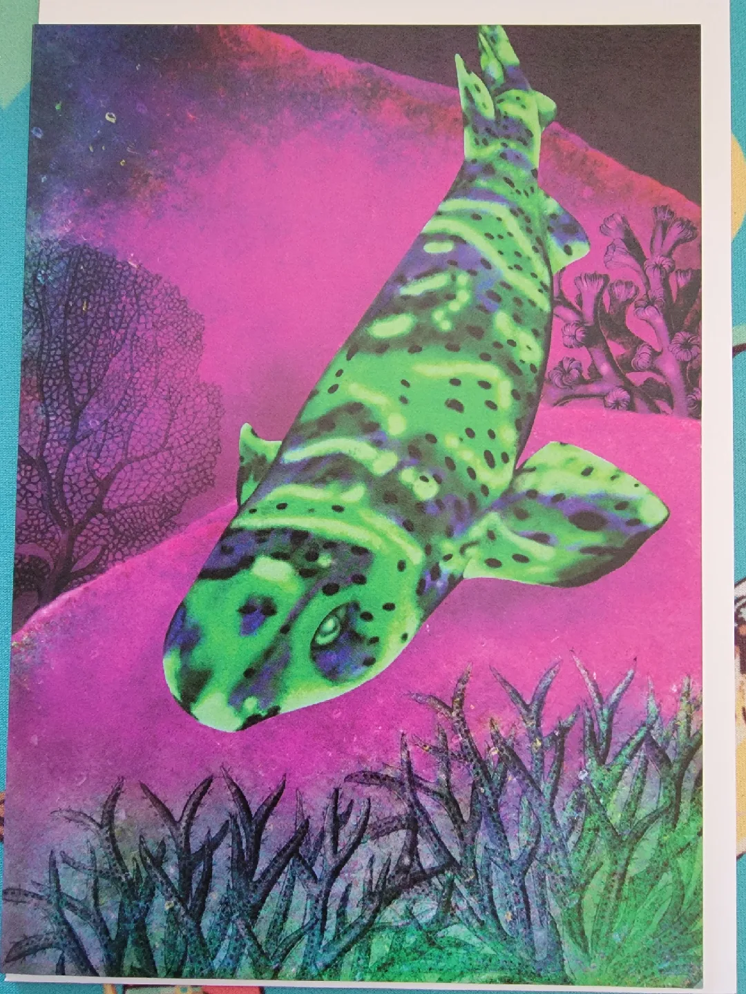 🥕 Swell Shark Card by The Glow Oracle thumbnail