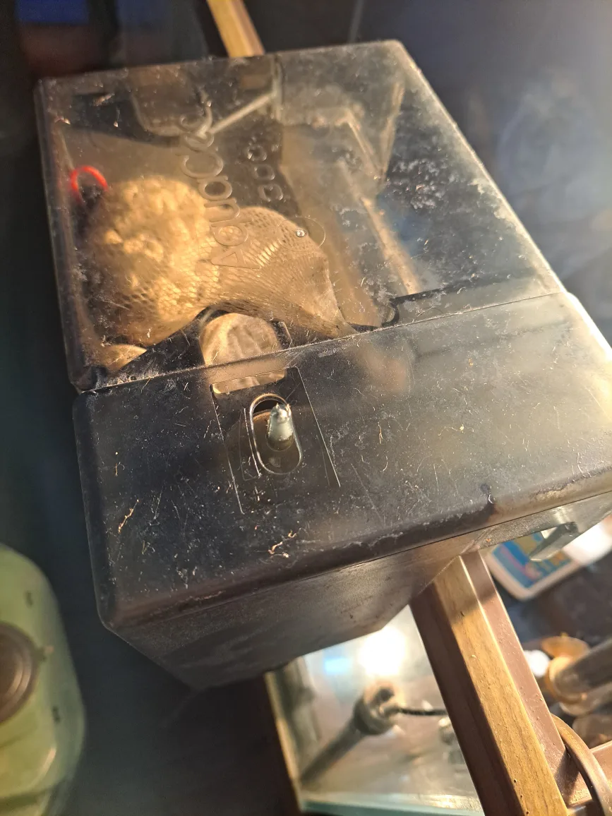 60 Gallon Fish Tank w/ Stand image indicator(4)