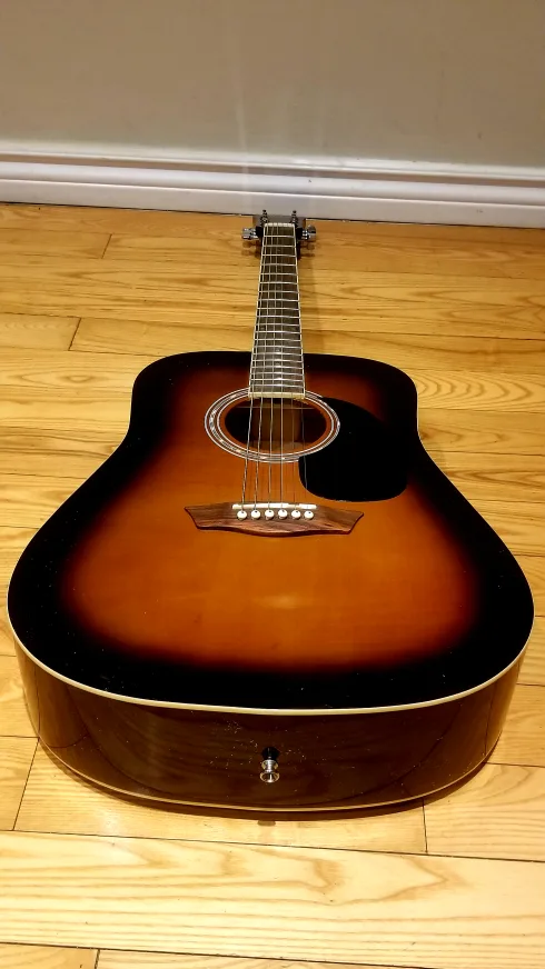 GWL George Washburn Limited Acoustic Guitar image indicator(5)