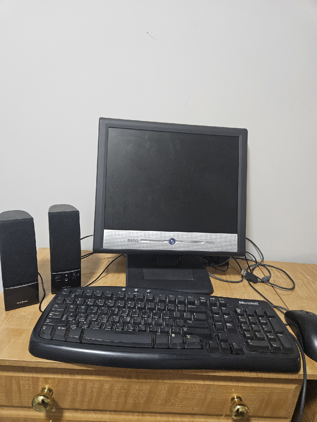 Microsoft Mouse, Insignia Speakers, BenQ Monitor