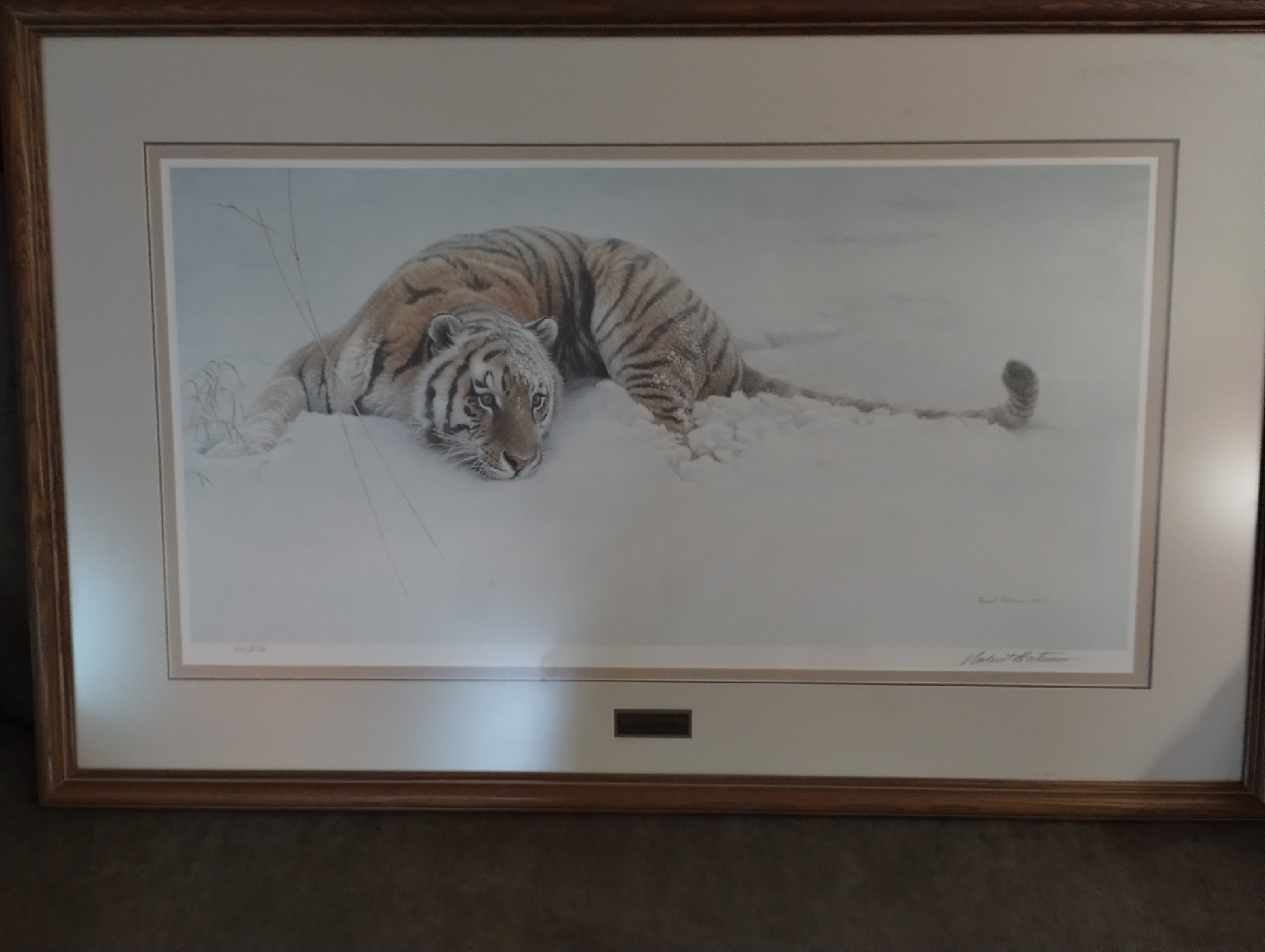 Robert Bateman "Sudden Move - Siberian Tiger" Framed Print - photo 3