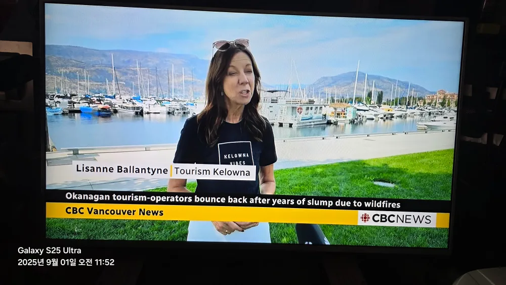 LG 50 inch Smart TV image indicator(4)