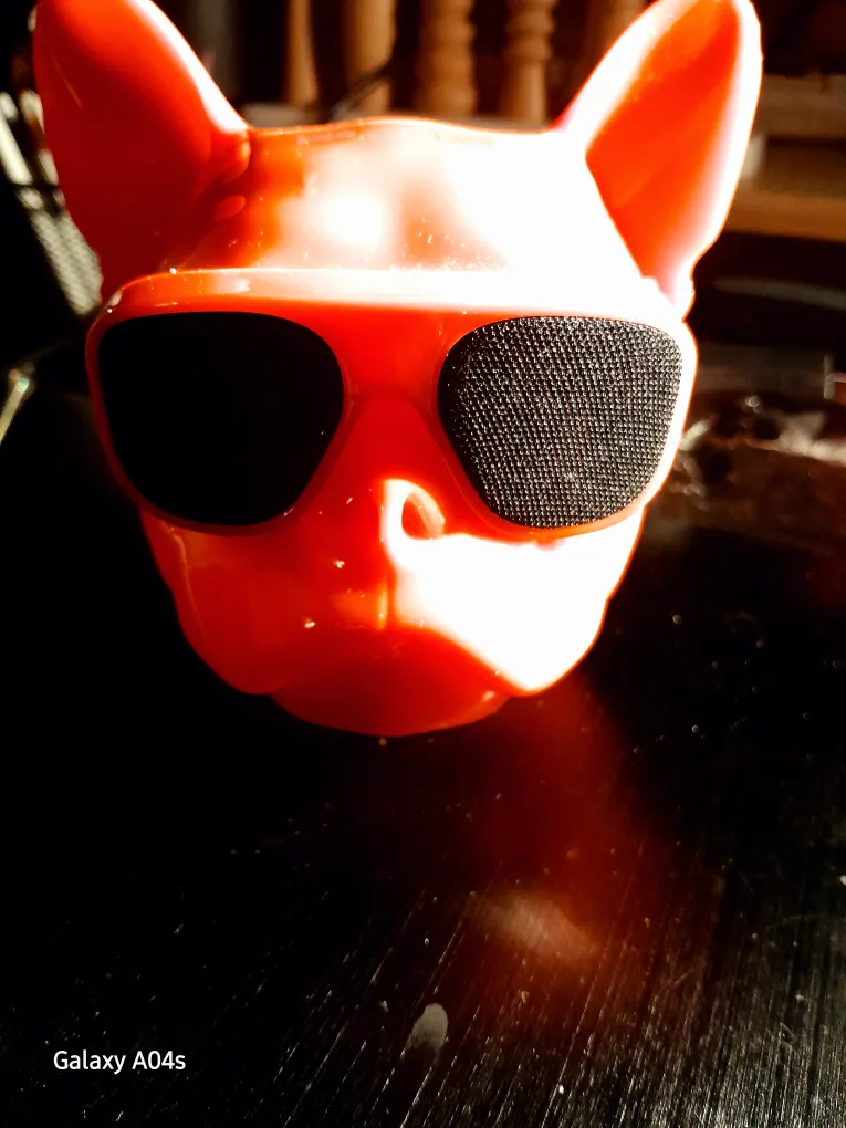 Orange Bulldog Speaker+🥕 image indicator(2)