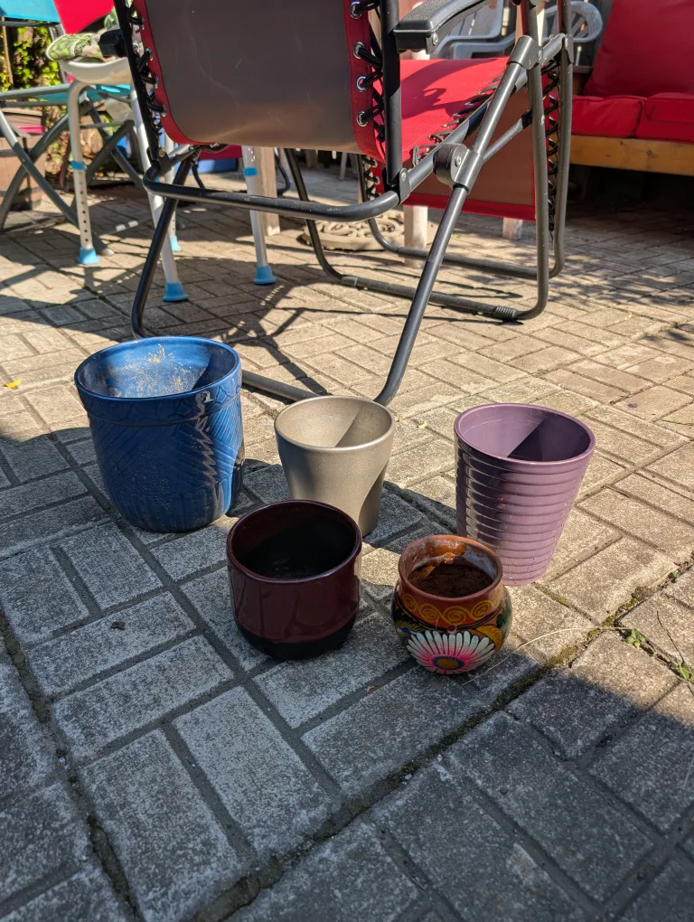 lot of 5 plant pots thumbnail