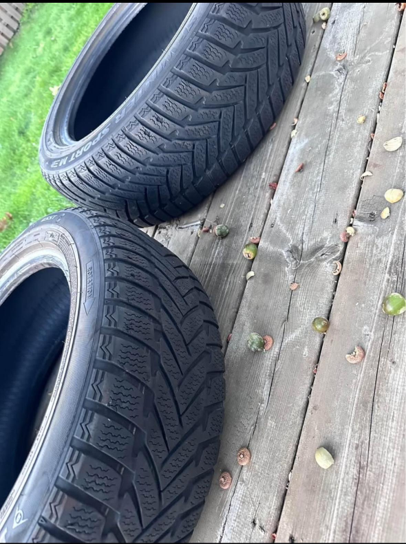 Selling Winter Tires Run Flat Dunlop : 205/55R16 - photo 2