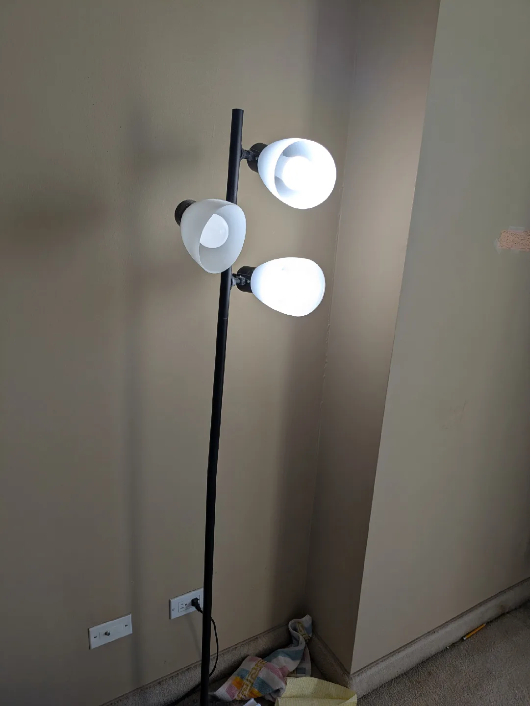 Modern Black Floor Lamp with 3 Lights image indicator(2)