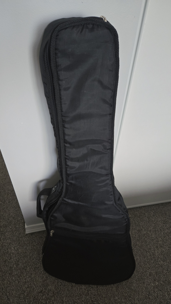 First Act Acoustic Guitar - photo 3