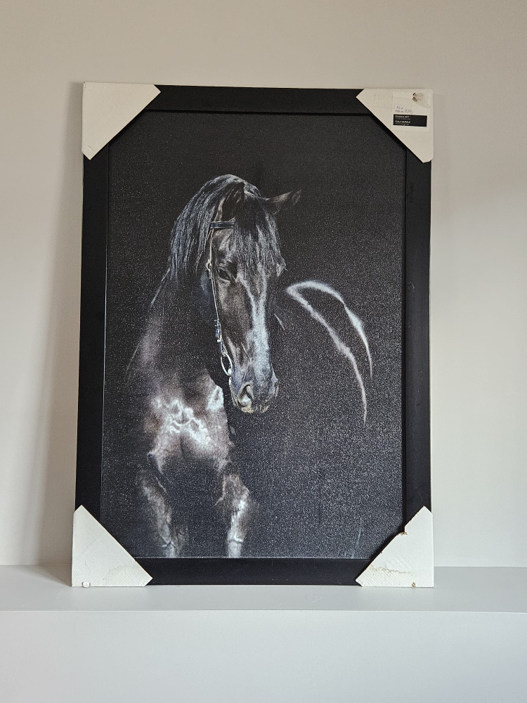 Framed Horse Print - Black Frame