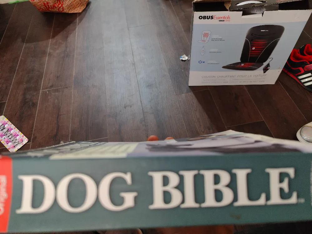 dog Bible image indicator(3)