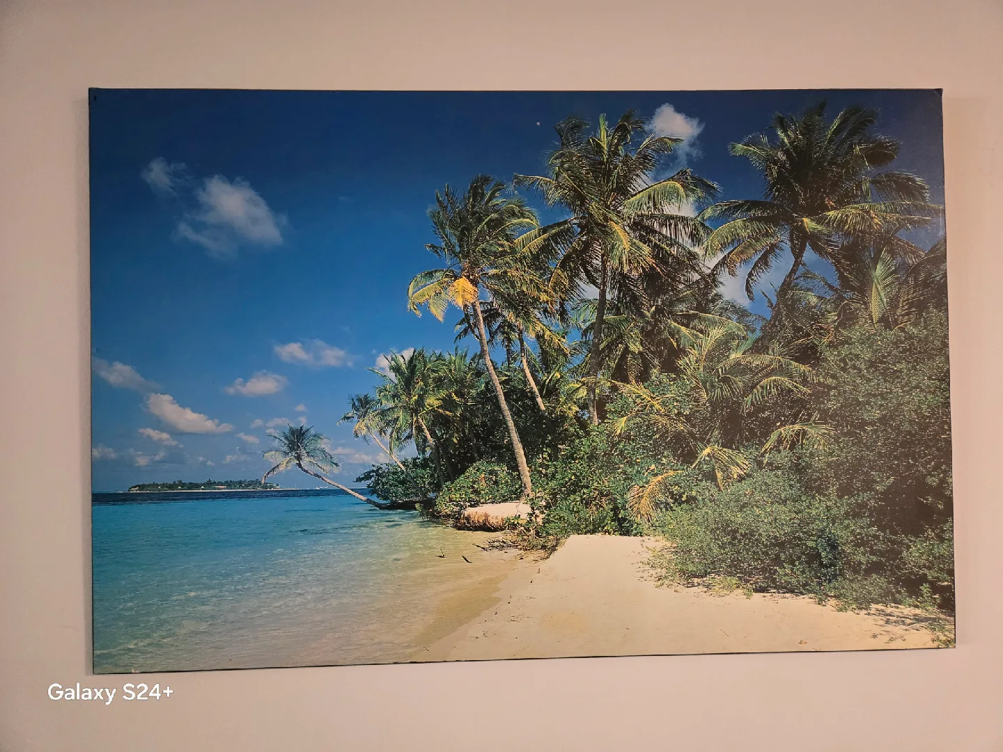 Tropical beach wall art image indicator(2)