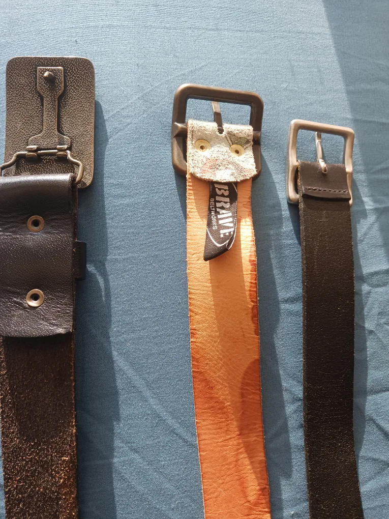 Assorted Belts: ALDO & Brave Leather image indicator(2)