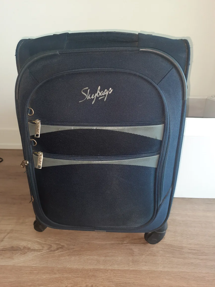 Skybags Navy Blue Carry-on Luggage