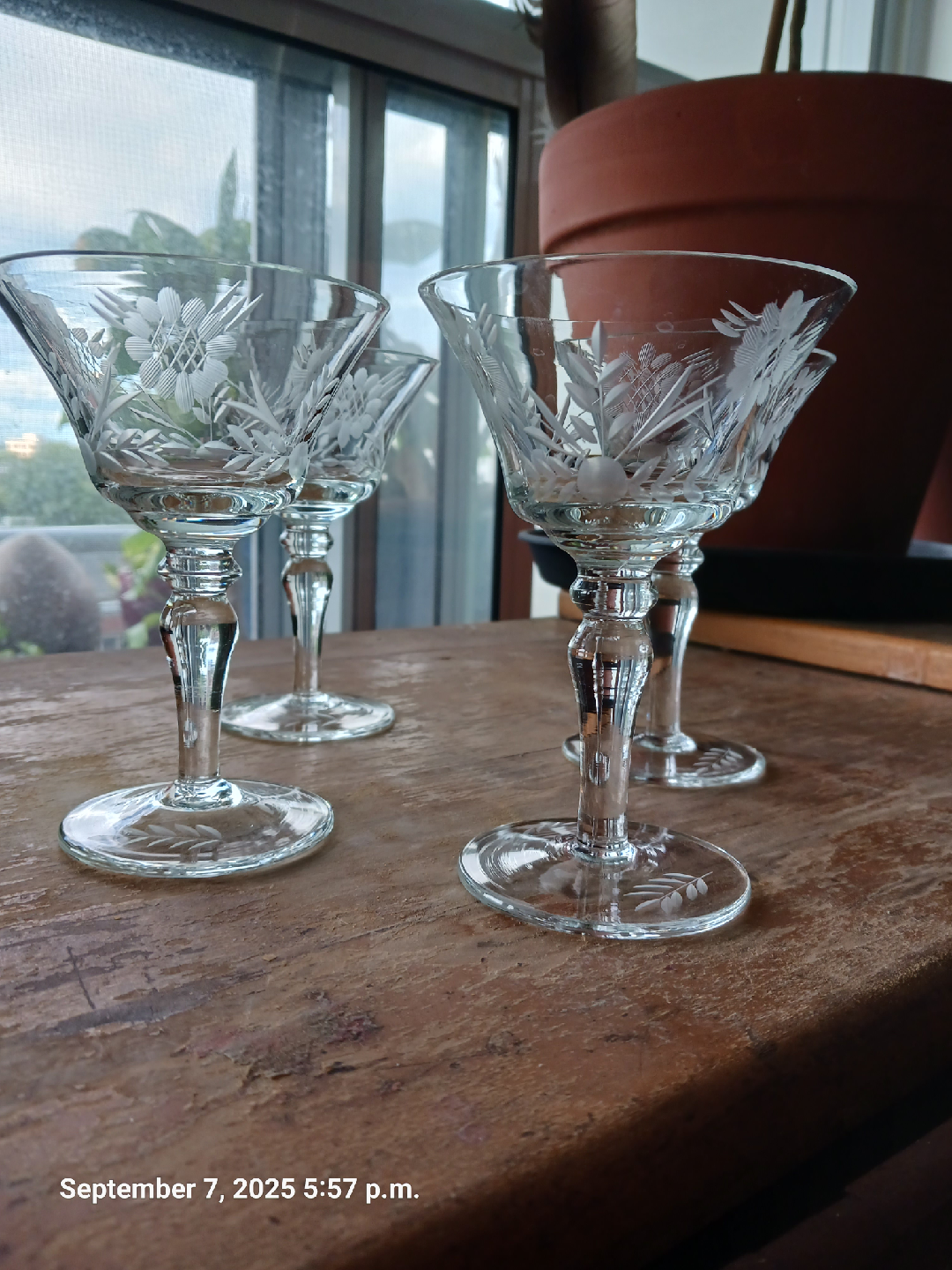 Vintage Etched Floral Coupe Cocktail Glasses