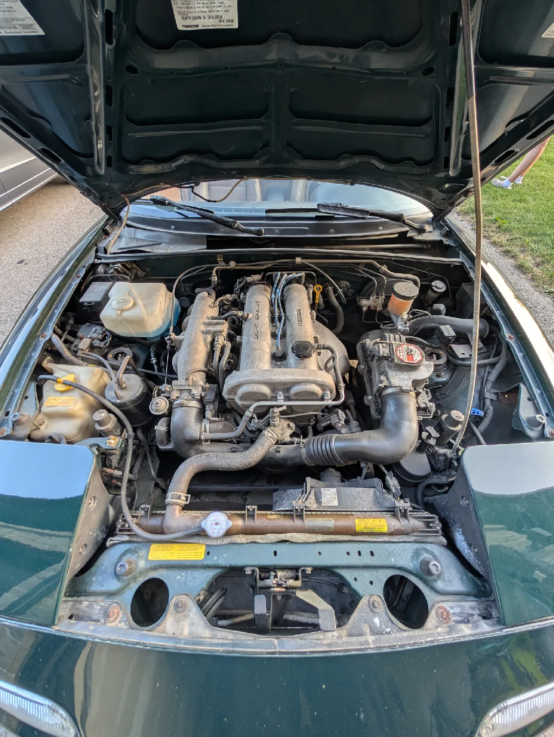 Mazda Miata Convertible - Green image indicator(4)