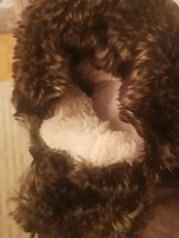 DLG Winter Boots image indicator(4)