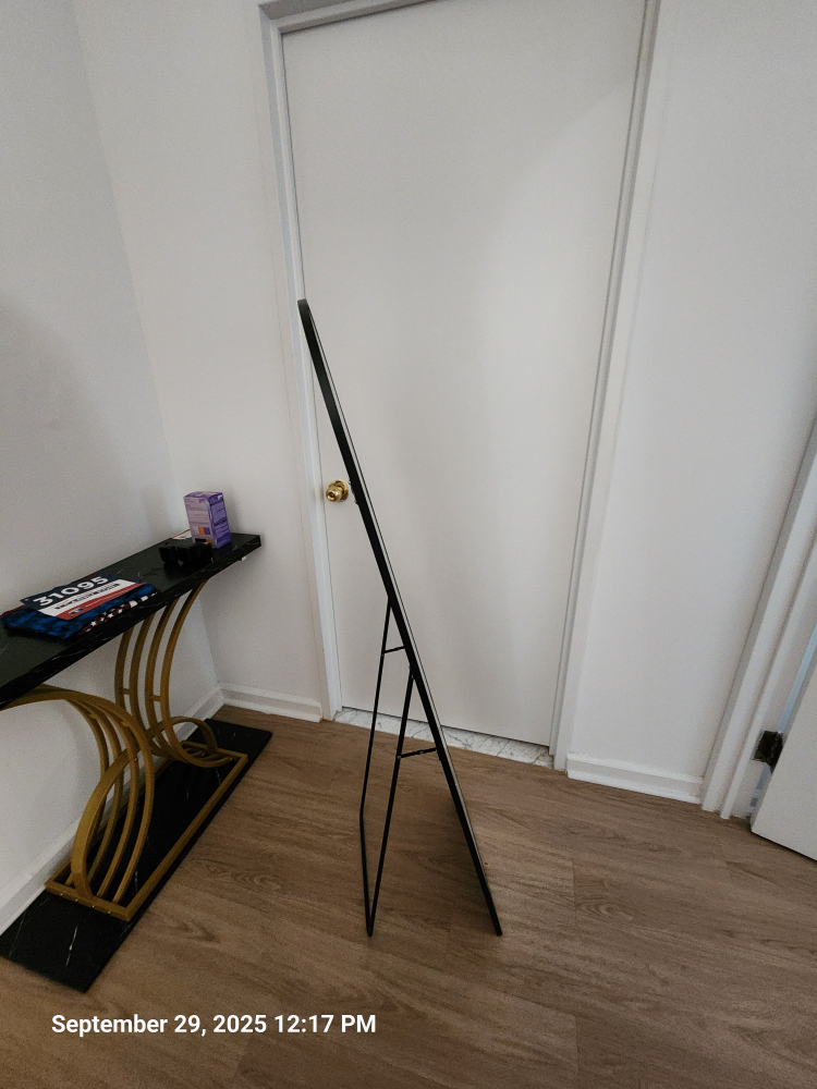 Black Framed Full Length Mirror - photo 4