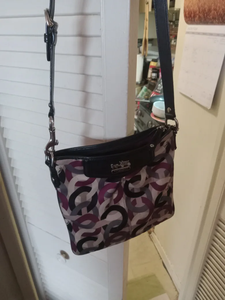 Coach Handbag image indicator(8)