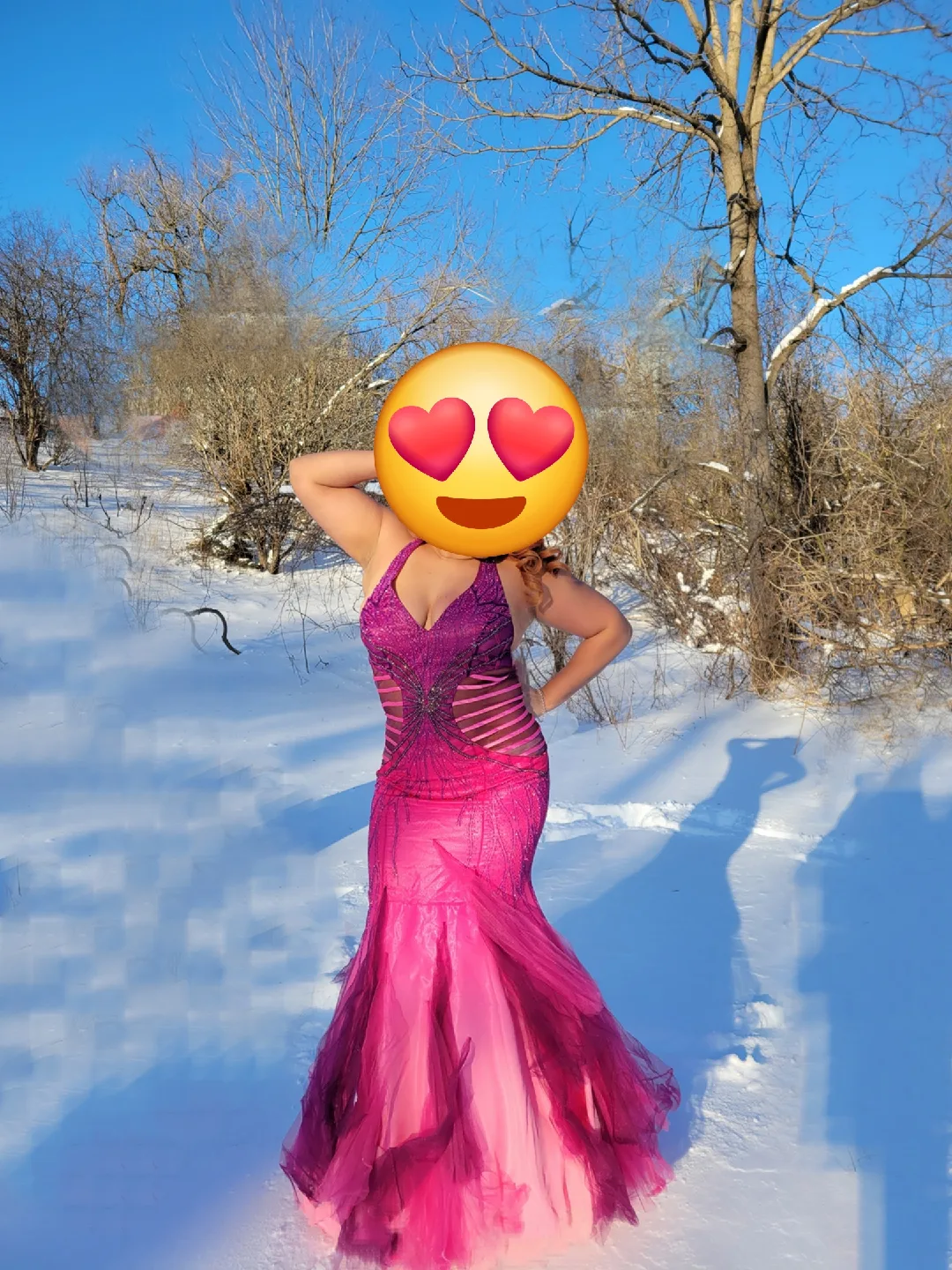 dream dress image indicator(3)