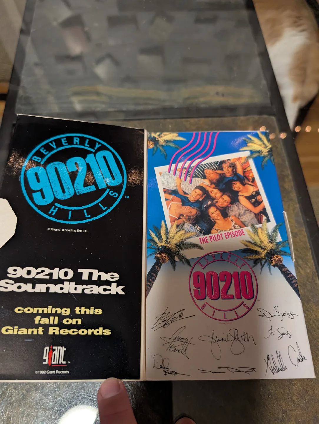 Beverly Hills 90210 VHS Pilot Episode image indicator(2)