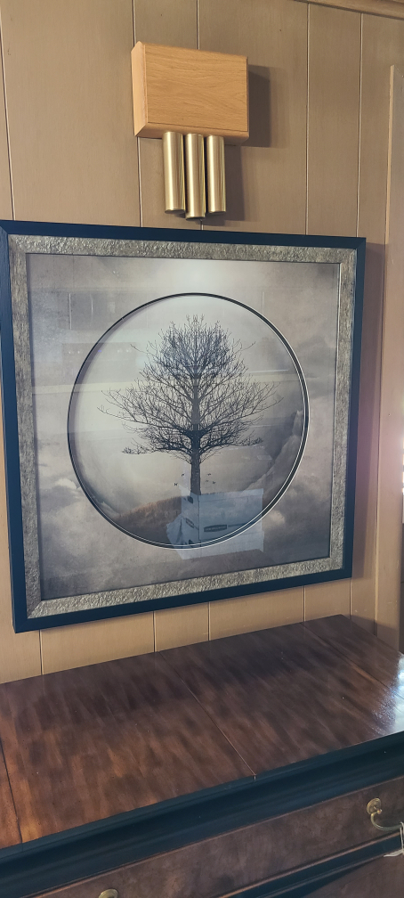 Framed Tree Art
