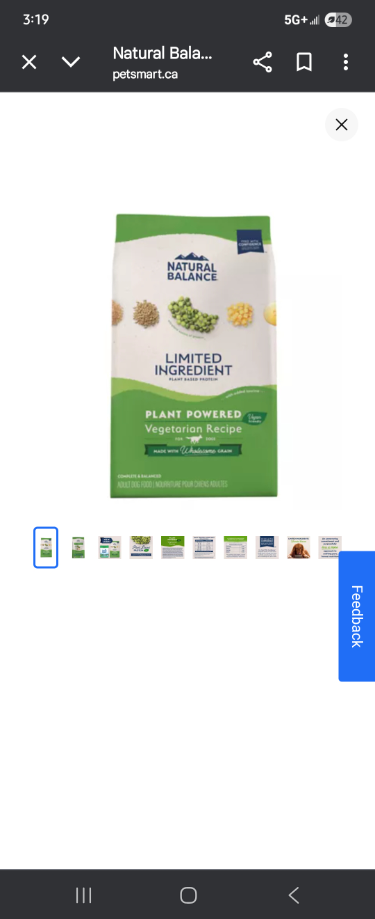 Natural Balance Vegetarian Recipe Dog Food