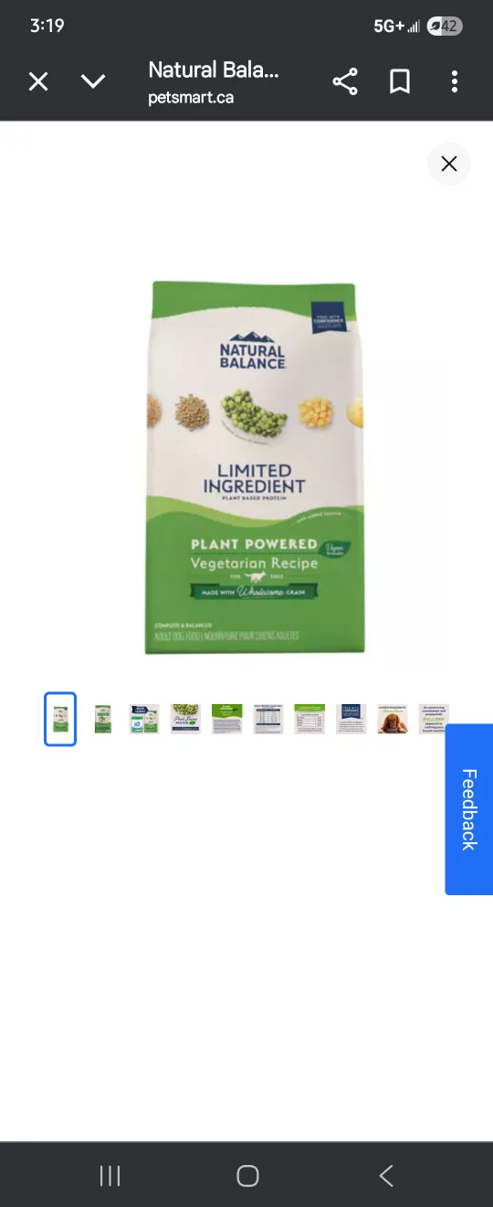 Natural Balance Vegetarian Recipe Dog Food