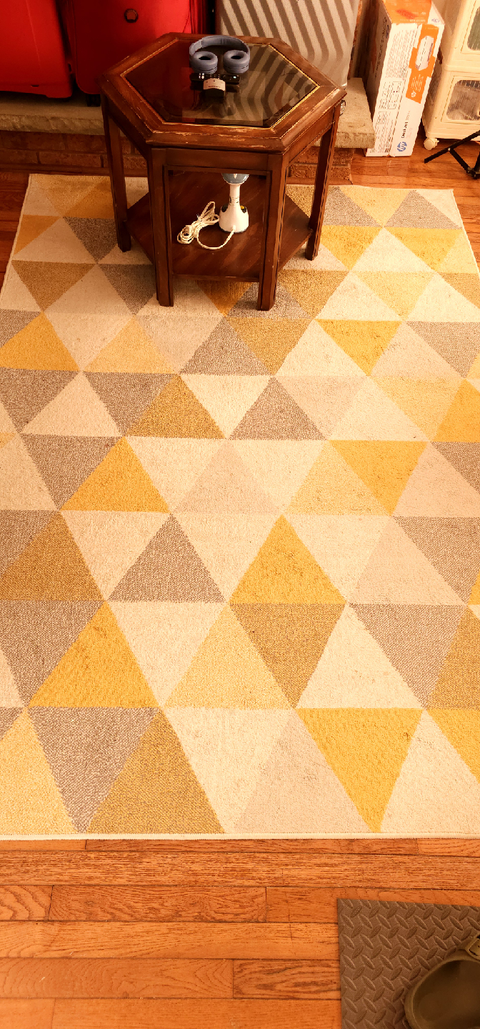 Wool/Cotton Area Rug- Moving sale