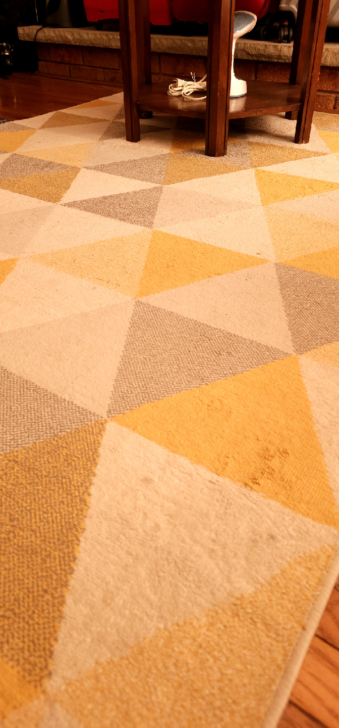 Wool/Cotton Area Rug- Moving sale - photo 3