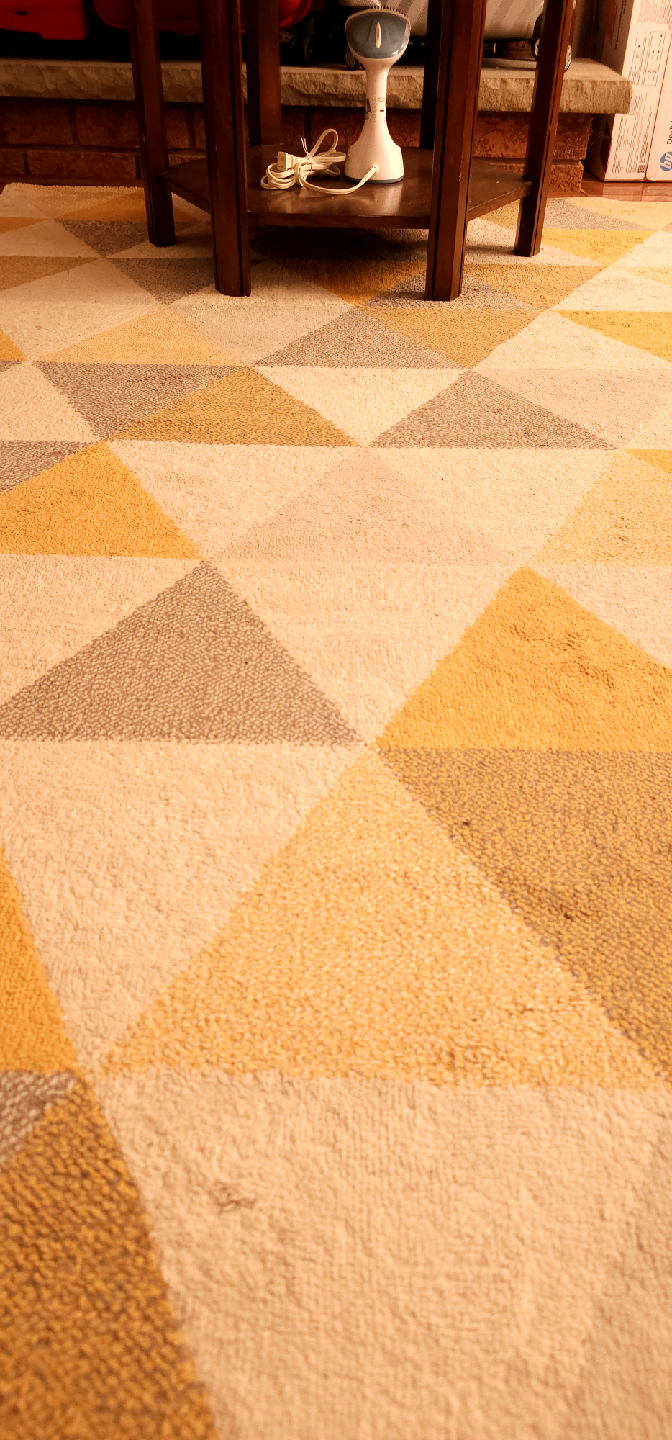 Wool/Cotton Area Rug- Moving sale - photo 4