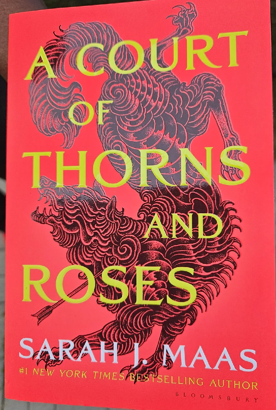 A Court of Thorns and Roses Series by Sarah J. Maas image indicator(3)