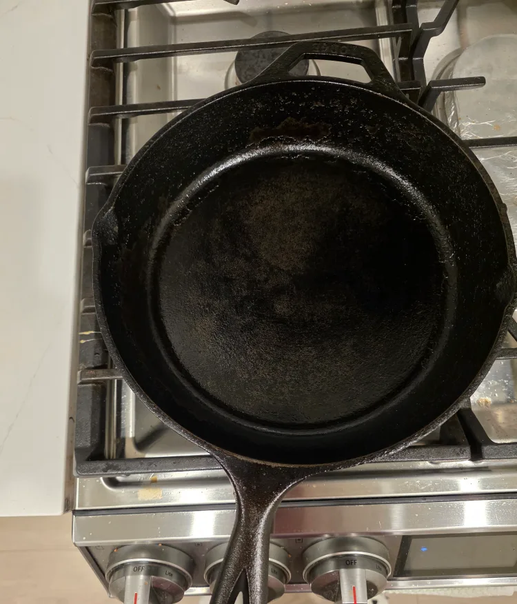Lodge Cast Iron Skillet – 10.25" image indicator(3)