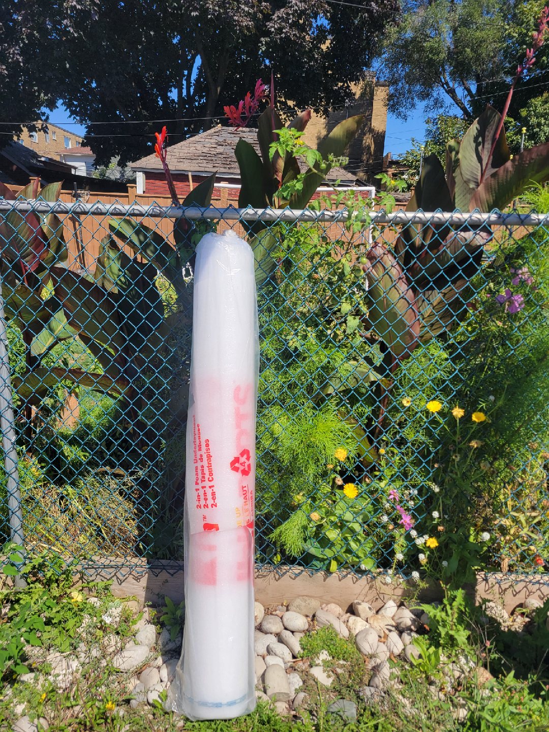 Robert's 2 in 1 foam ( used )