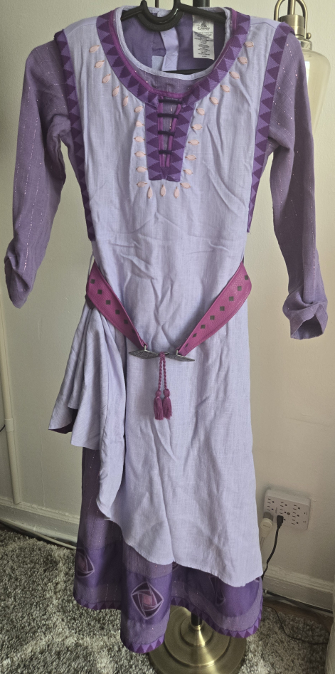 Disney's "Wish" Asha Dress Size 11/12
