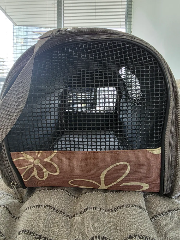 Foldable Cat Carrier Bag image indicator(3)