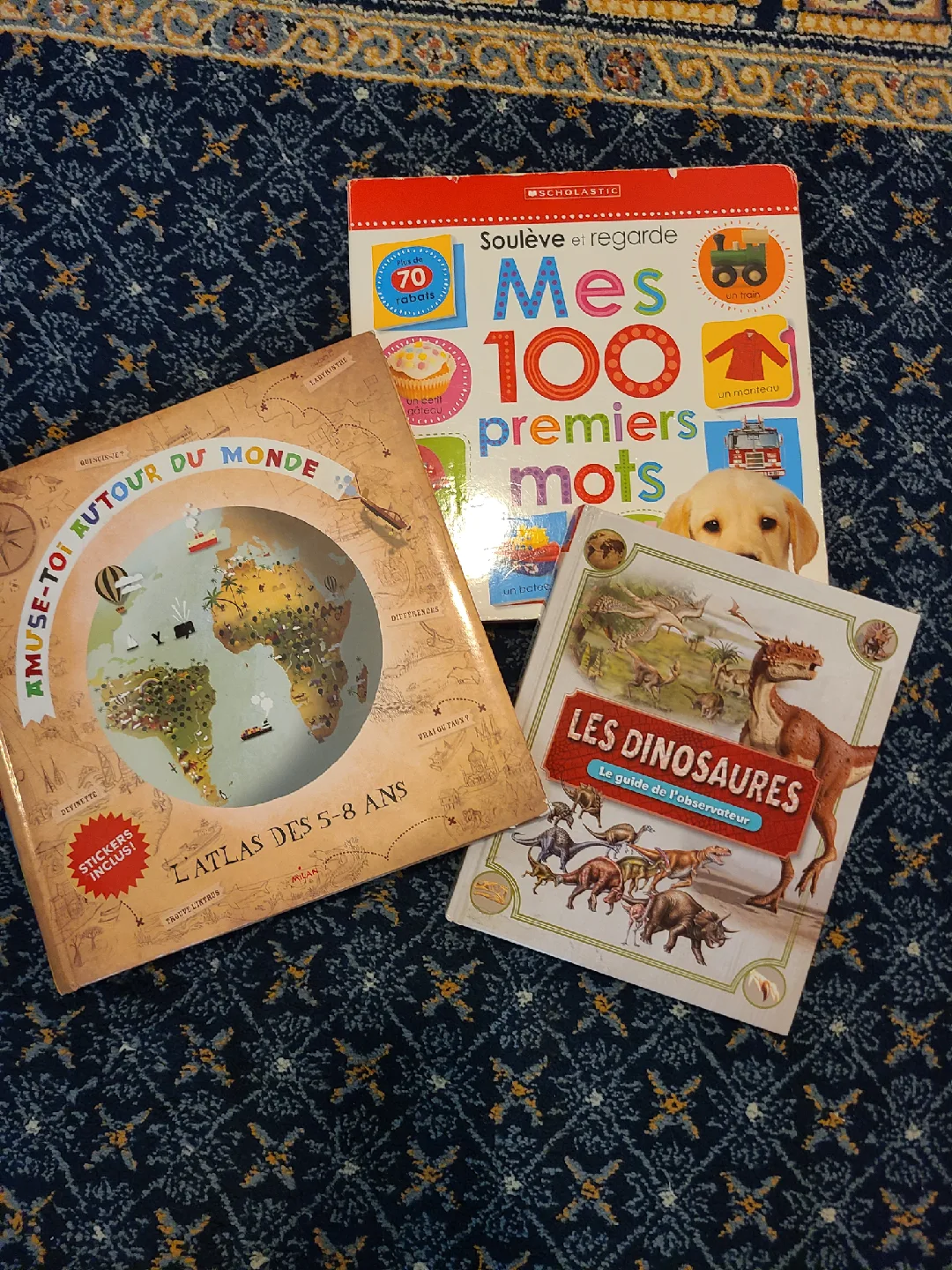 French Kids' Books: Atlas, Dinosaurs, First Words thumbnail