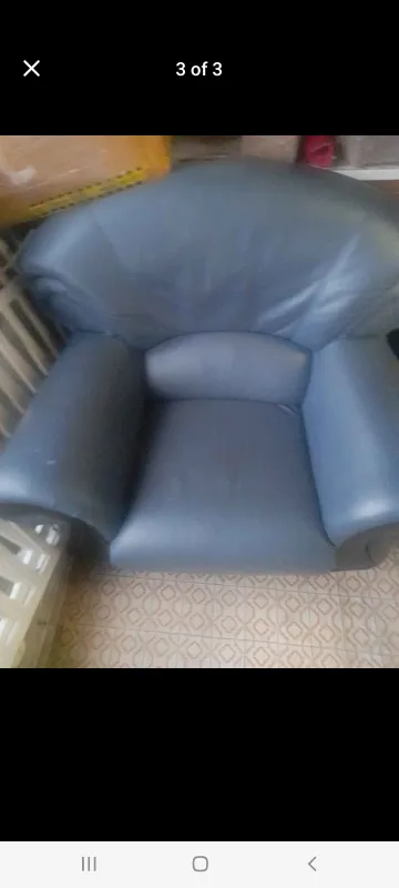 Blue Leather Armchair 🥕 thumbnail