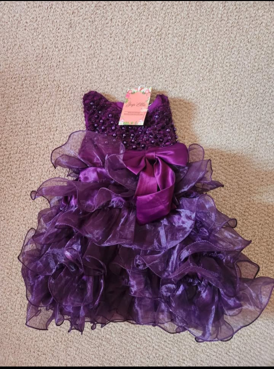Joye Ella Purple Dress - Size 6-12 months - photo 2