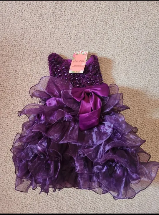 Joye Ella Purple Dress - Size 6-12 months image indicator(2)