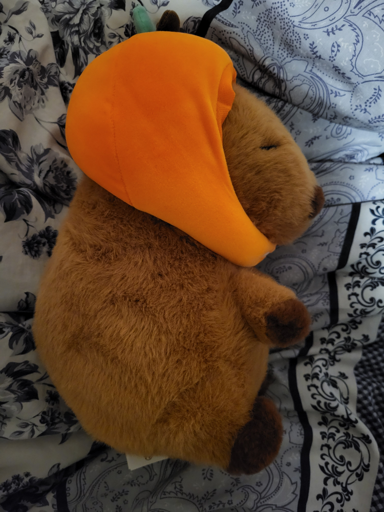 MINISO Capybara With Orange Hat - photo 2