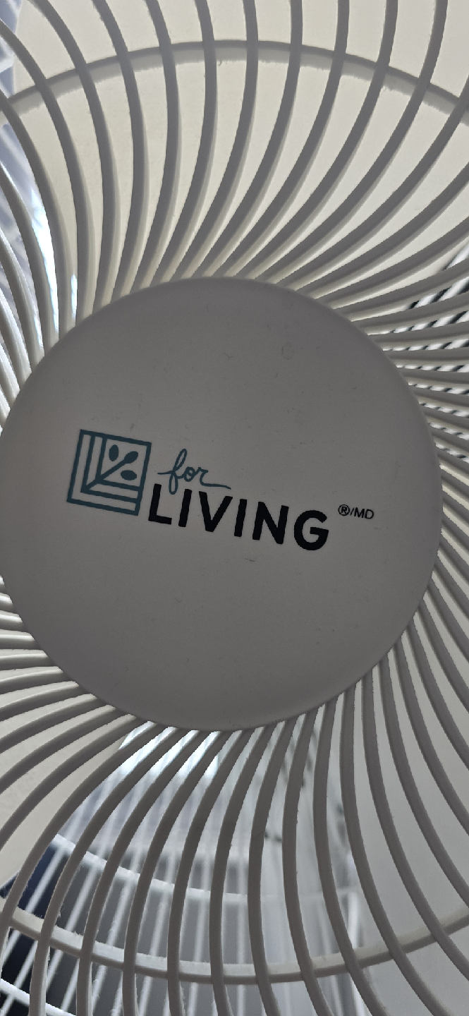 Electric Fan - White - photo 4