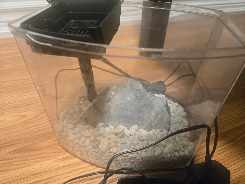 Aquarium Fish Tank with Filter image indicator(3)