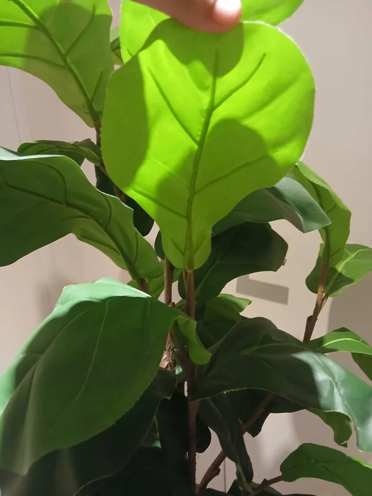 Pottery Barn Artificial Fig Tree image indicator(8)