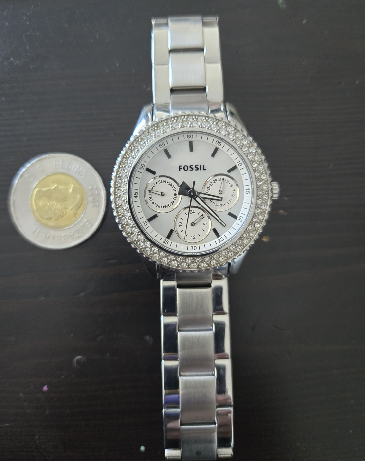 Fossil Women's Silver Watch