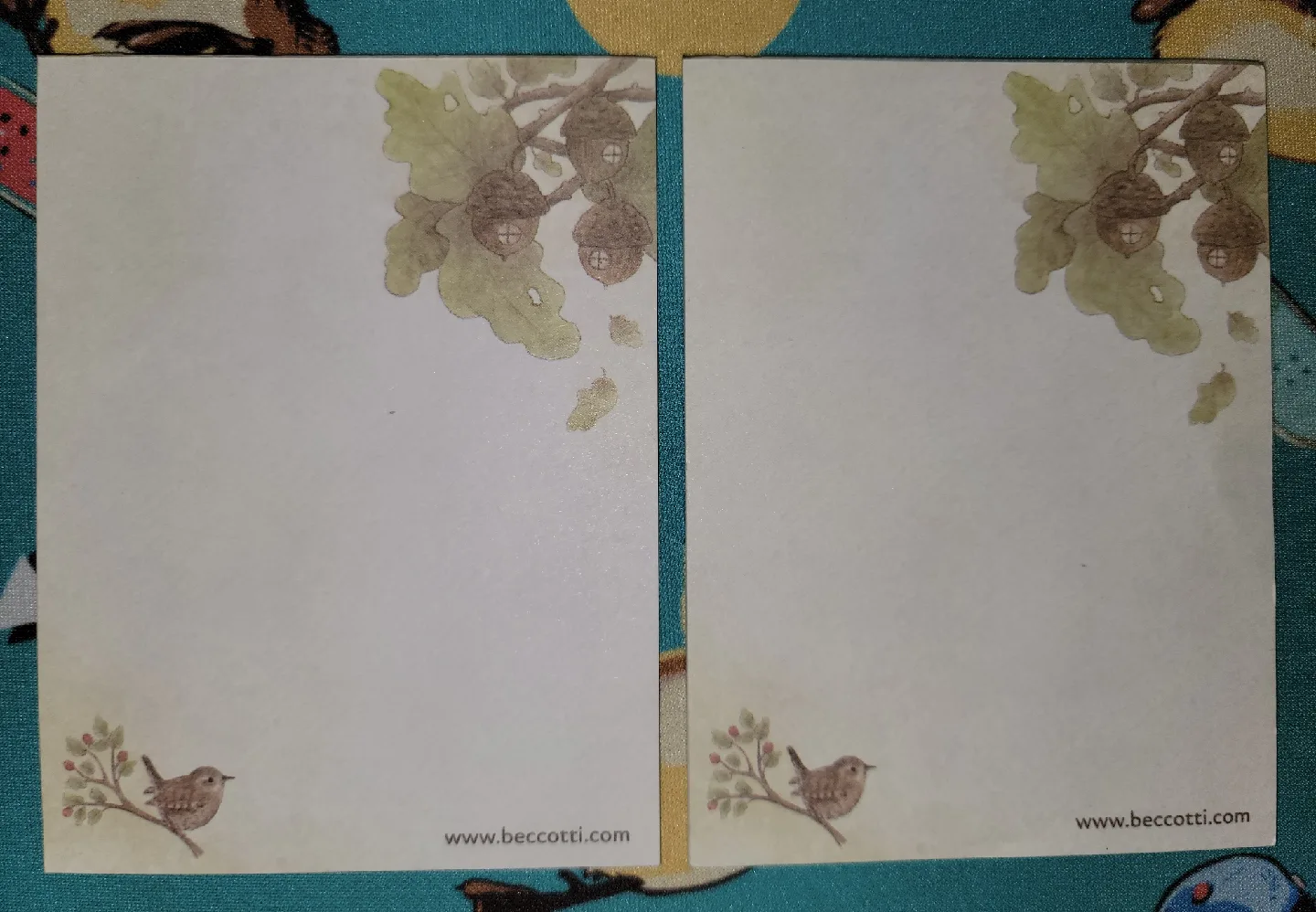 🥕 Cute Assorted Memo Pads (4 total) image indicator(3)