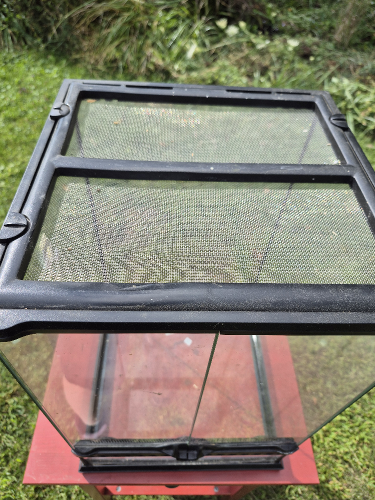 Glass Terrarium with Screen Top 12x12x18 - photo 3